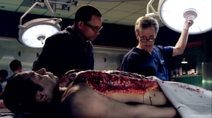 CSI: NY, Season 5 Episode 19 image