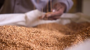 High on the Hog: How African American Cuisine Transformed America, Season 1 Episode 2 image