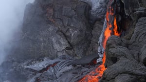 Wild Pacific, Season 1 Episode 4 image