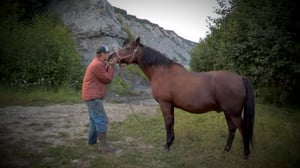 Alaska: The Last Frontier, Season 10 Episode 10 image