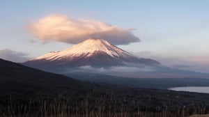 Ocean Treks with Jeff Corwin, Season 3 Episode 26 image