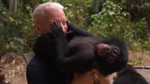 60 Minutes, Season 48 Episode 11 image