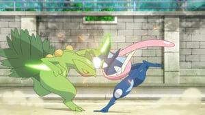 Pokémon, Season 19 Episode 13 image