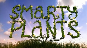 The Nature of Things, Season 51 Episode 17 image