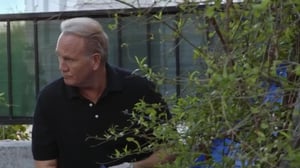 Cry Wolfe, Season 3 Episode 10 image