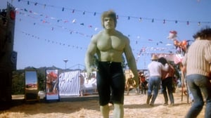 The Incredible Hulk, Season 3 Episode 12 image