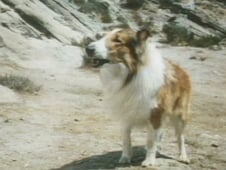 Lassie, Season 17 Episode 5 image