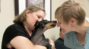 Vets Saving Pets, Season 1 Episode 22 image