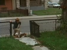 The Kids of Degrassi Street, Season 1 Episode 16 image