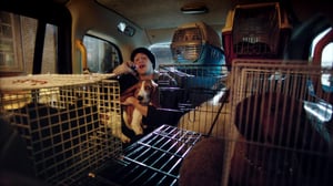 Siblings, Season 1 Episode 2 image