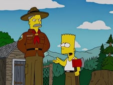The Simpsons, Season 17 Episode 11 image