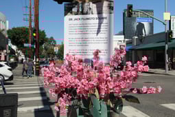 Eye on Entertainment, Season 18 Episode 29 image