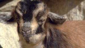 Earth Odyssey with Dylan Dreyer, Season 2 Episode 21 image