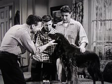 The Adventures of Ozzie and Harriet, Season 3 Episode 28 image