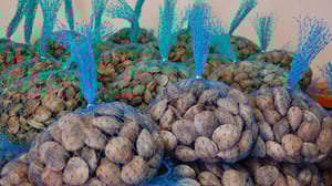 Changing Seas, Season 1 Episode 4 image