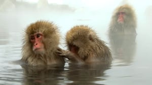 Earth Odyssey with Dylan Dreyer, Season 1 Episode 13 image