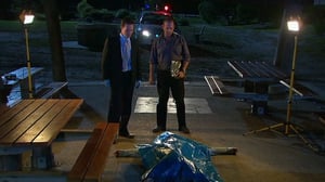 Blue Heelers, Season 12 Episode 9 image