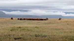 Alaska: The Last Frontier, Season 4 Episode 9 image