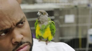 The Vet Life, Season 2 Episode 6 image