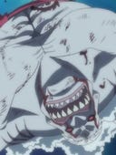 One Piece, Season 15 Episode 51 image