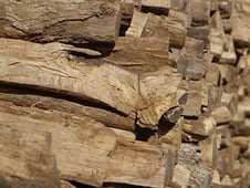 BBQ with Franklin, Season 1 Episode 2 image