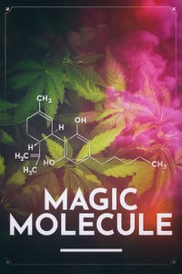 Magic Molecule