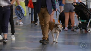 Jimmy Kimmel Live!, Season 22 Episode 9 image