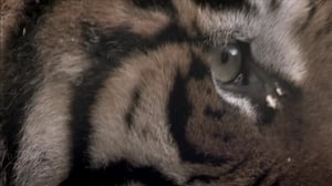 Fatal Attractions, Season 1 Episode 9 image