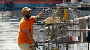 Tough As Nails, Season 2 Episode 2 image