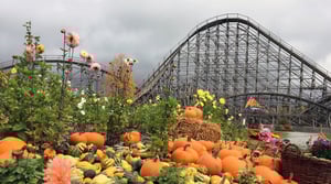 Science of Thrills, Season 1 Episode 1 image