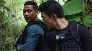Hawaii Five-0, Season 10 Episode 8 image