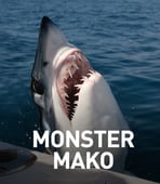 Shark Week, Season 28 Episode 3 image
