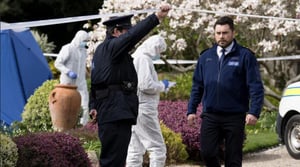 Harry Wild, Season 3 Episode 5 image