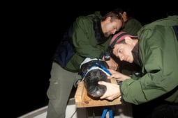 Changing Seas, Season 4 Episode 4 image