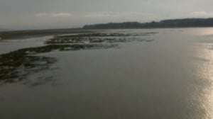 Frontline, Season 27 Episode 8 image