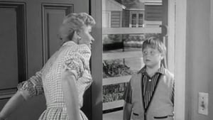 Leave It to Beaver, Season 1 Episode 38 image