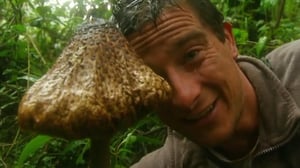 Man vs. Wild, Season 1 Episode 6 image