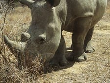 Nature, Season 25 Episode 5 image