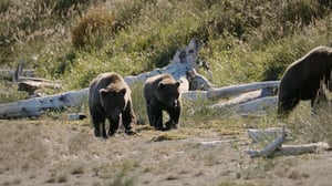 Intruders, Season 1 Episode 6 image