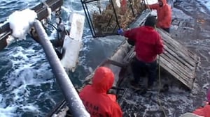 Deadliest Catch, Season 2 Episode 9 image