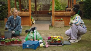 The Dumping Ground, Season 9 Episode 11 image