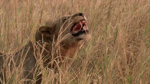 Fatal Attractions, Season 1 Episode 12 image