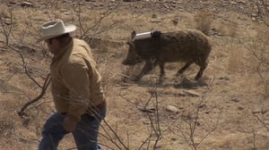 Monsterquest, Season 2 Episode 1 image