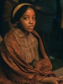 The Underground Railroad, Season 1 Episode 9 image