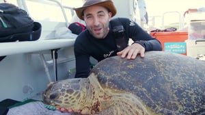 Brave Wilderness, Season 5 Episode 5 image