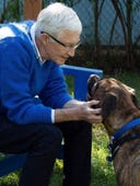 Paul O'Grady: For the Love of Dogs, Season 10 Episode 5 image