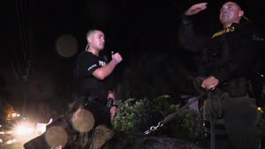 Live PD: Police Patrol, Season 3 Episode 11 image