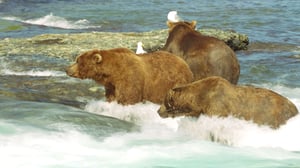 Journey with Dylan Dreyer, Season 2 Episode 2 image