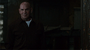 mitchpileggi2.gif