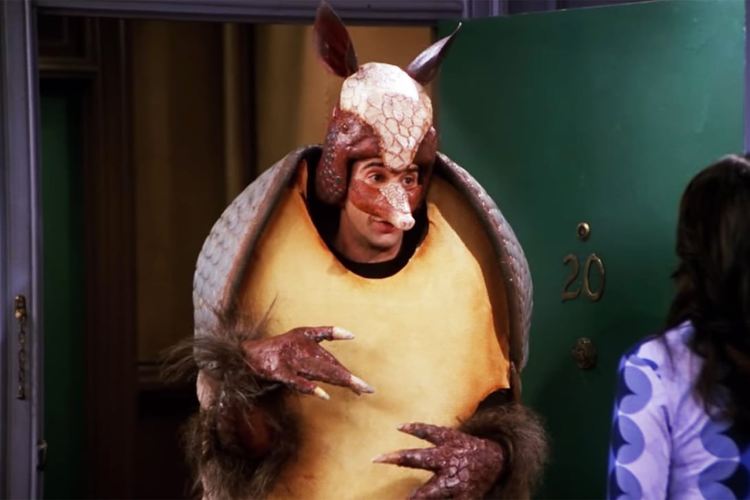 David Schwimmer, Friends